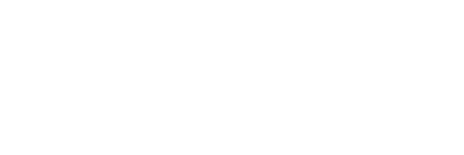 PLI PERU