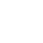 escudo (1)